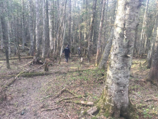 游玩途中进山失联 和龙公安搜山寻获
